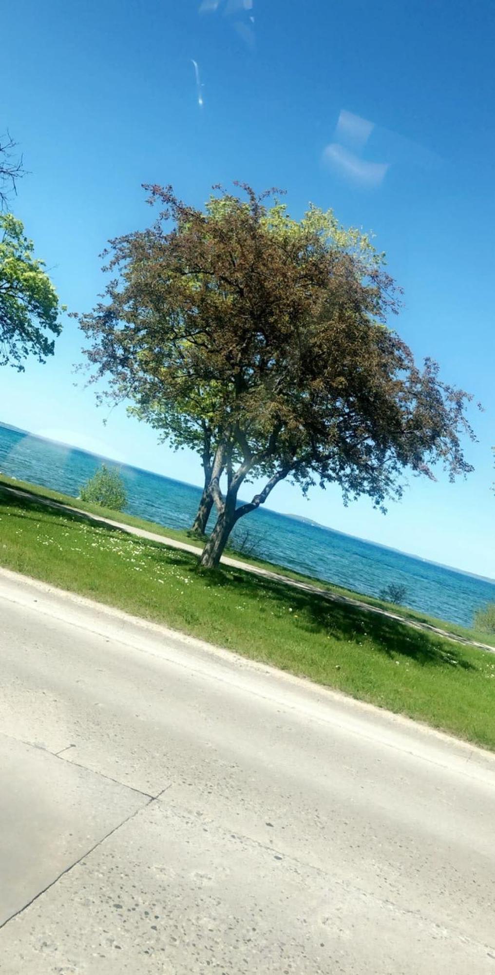 Location Location - Capri Condo 212 Traverse City Buitenkant foto